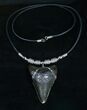 Megalodon Tooth Necklace #4045-1